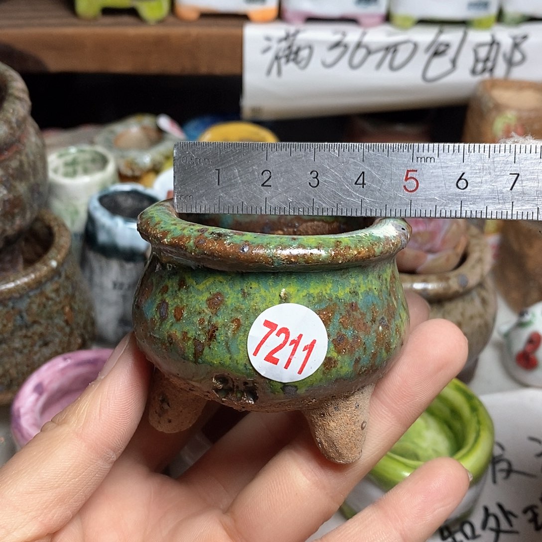 红陶拍5送一个小