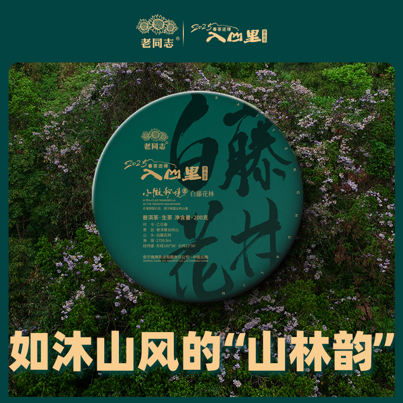 白藤花林 生茶 普洱茶 饼茶 古树春茶 200克  老同志2025年入山里