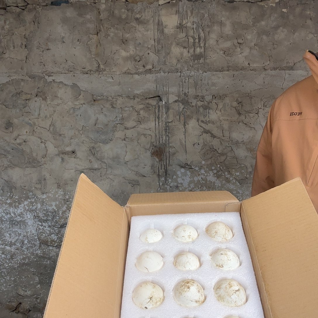 包装中国大陆140-160