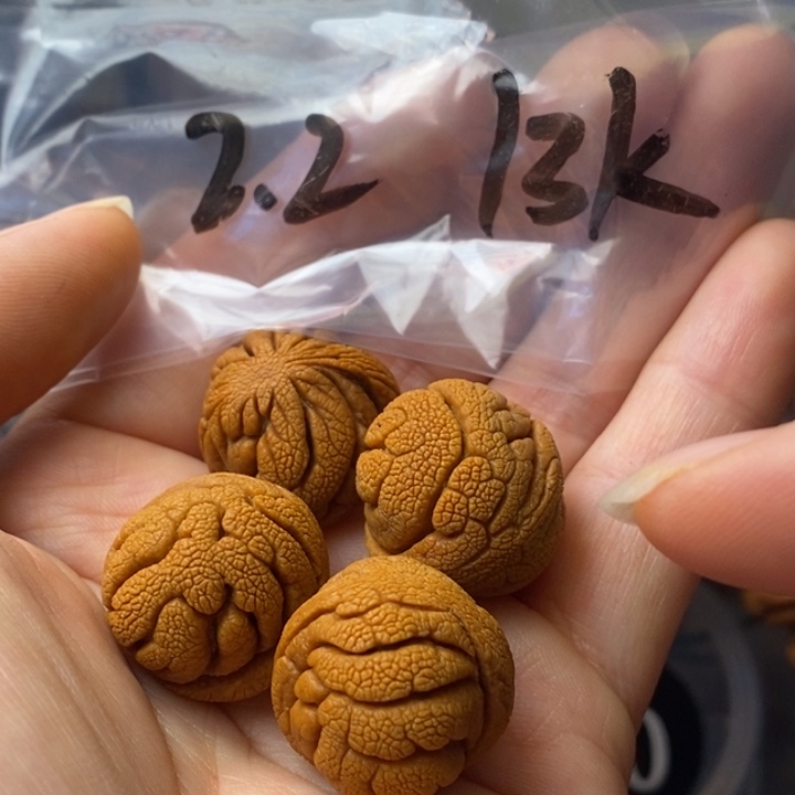 手串文玩核桃秦岭野生龙纹桃核22