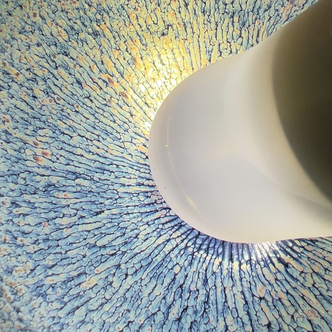 茶盏柴烧主人杯建窑建盏茶盏