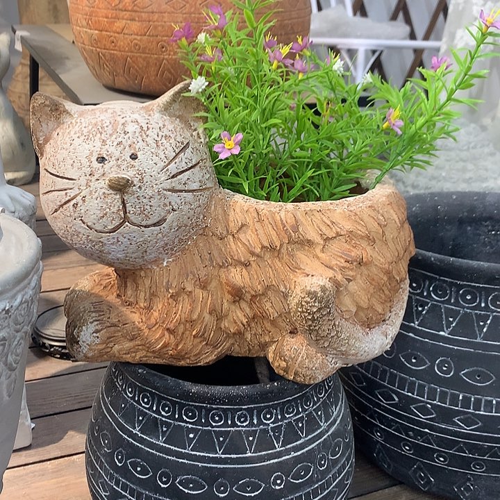 红陶高20长26口12.5