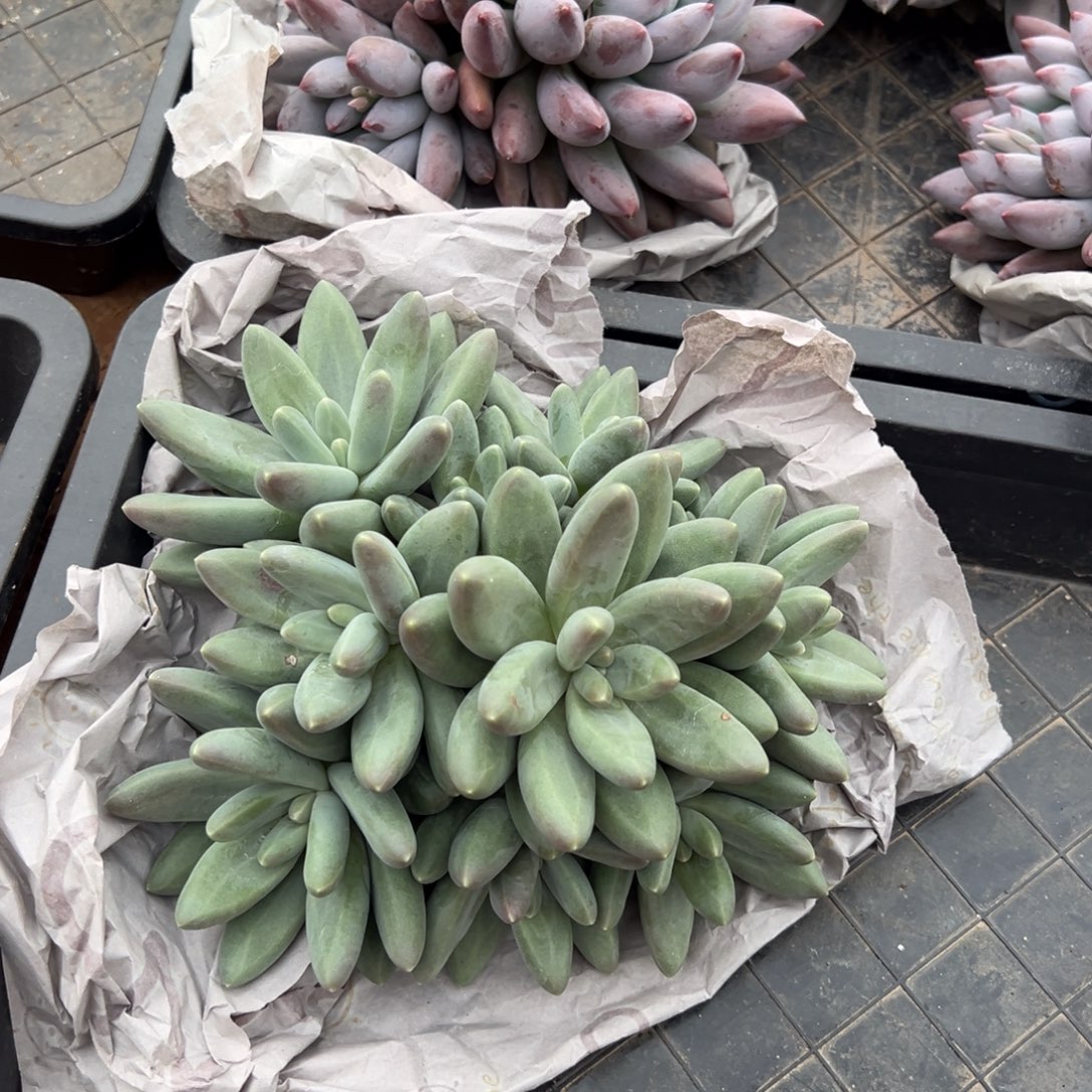 1231111111111111111111