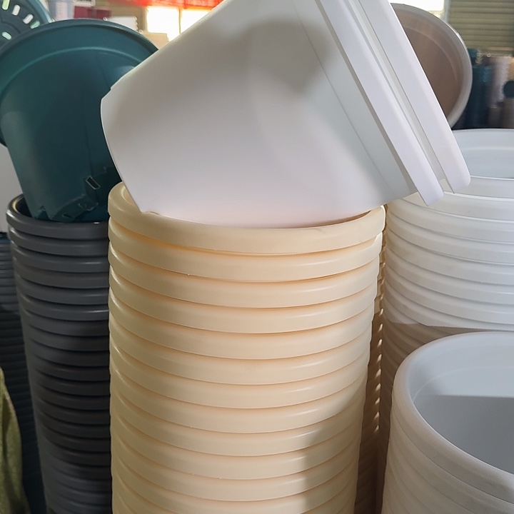 四季5#口径29白色3米黄2个带托