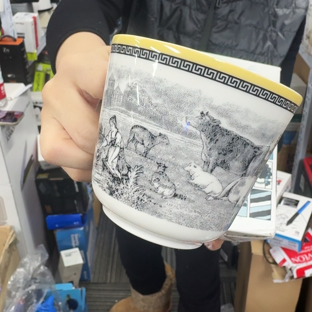 5***0杯杯子杯子杯子杯子杯子235