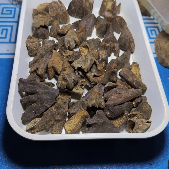 伽***康木质海南绿奇小包头339克