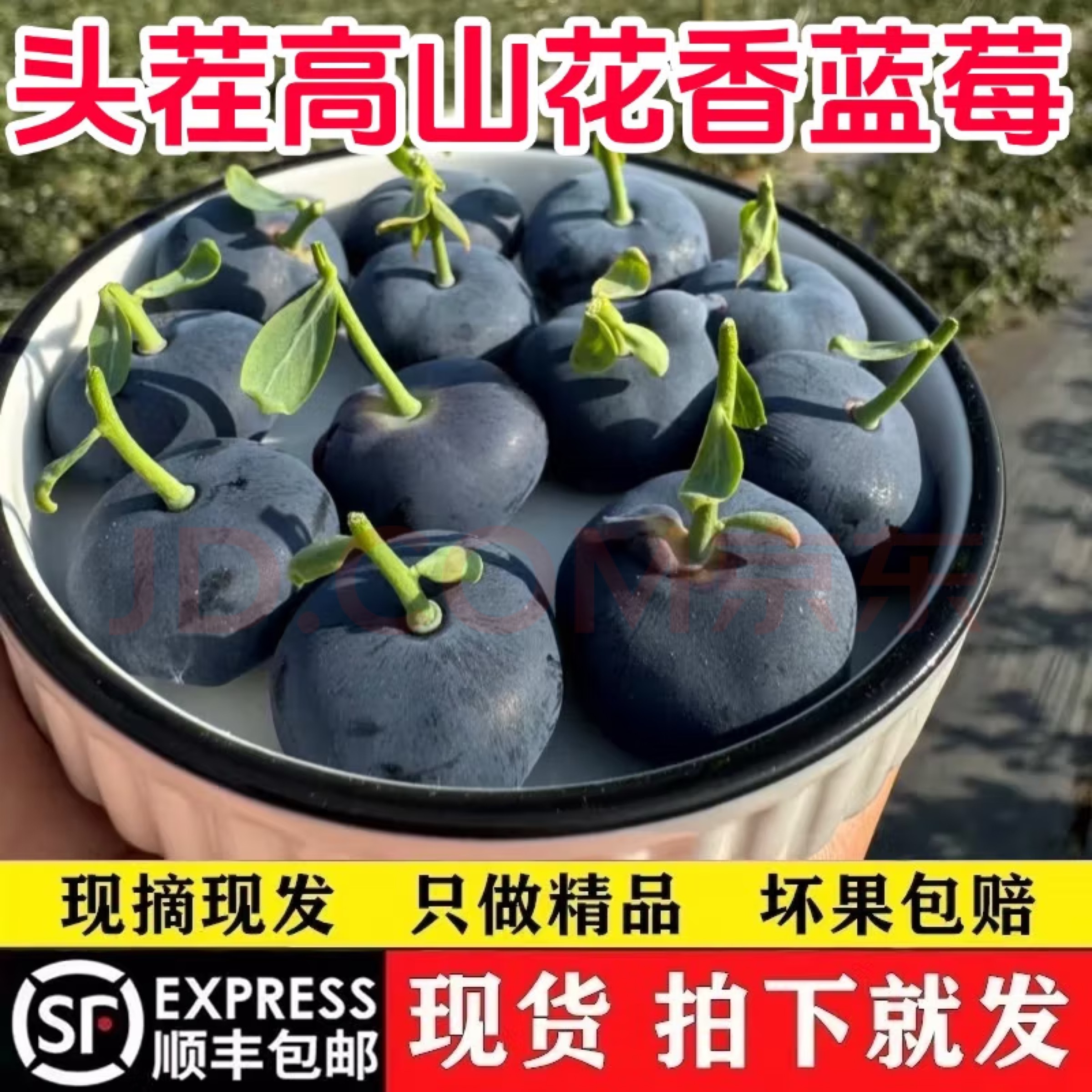 【拼手速 主播福利 蓝莓大果 买一斤送一斤】 山东蓝莓18mm-15mm F6 产地直发 当天采摘当天发货新鲜山东省