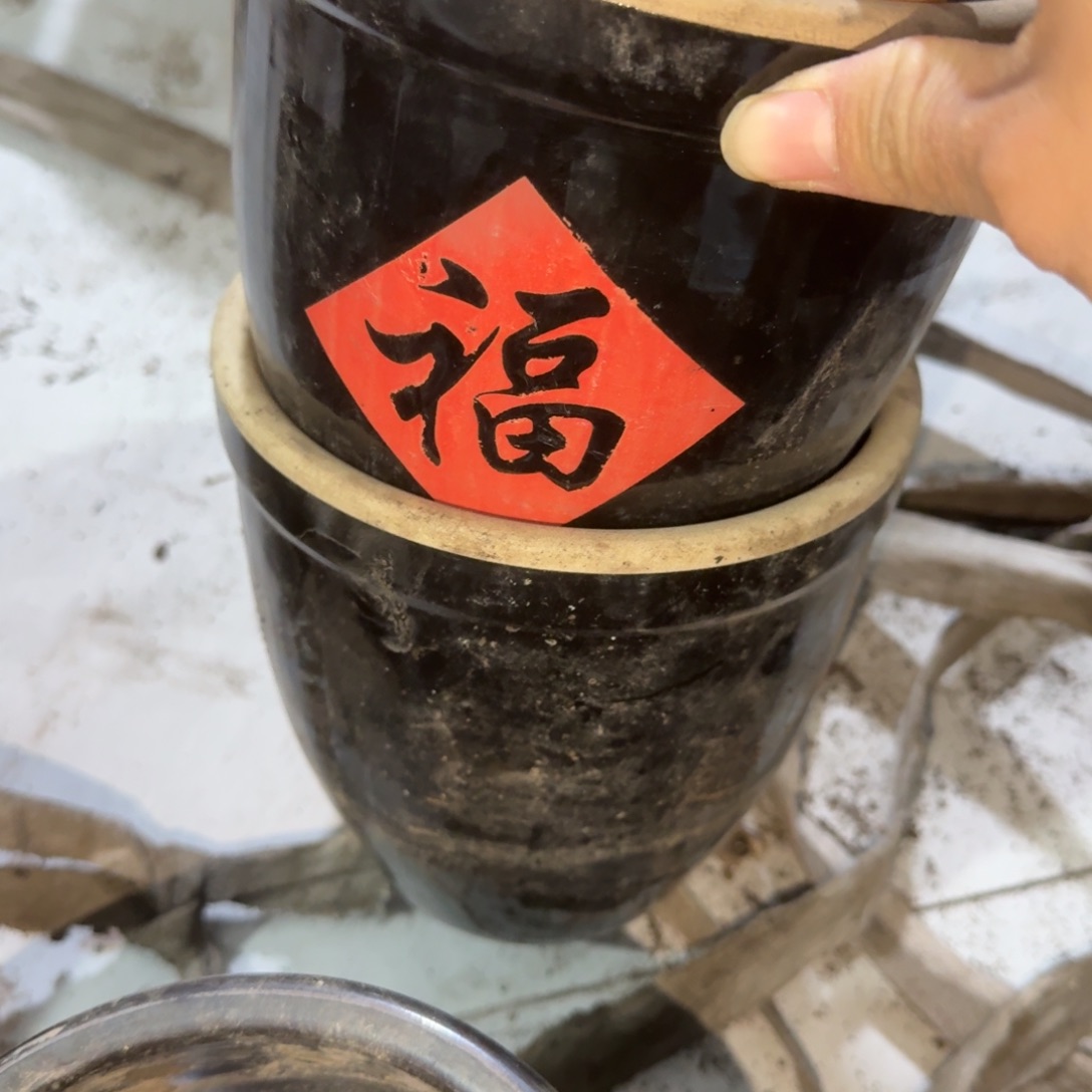 木***鱼茶盏他还没有走出这场梦吗