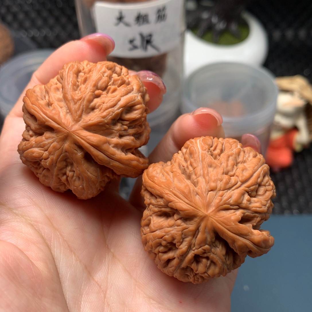 文玩核桃把件大粗筋。41..5385-002