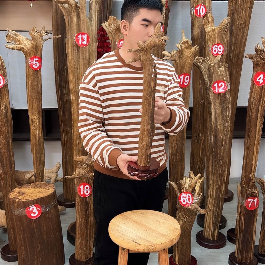 沉香摆件海南沉香摆件