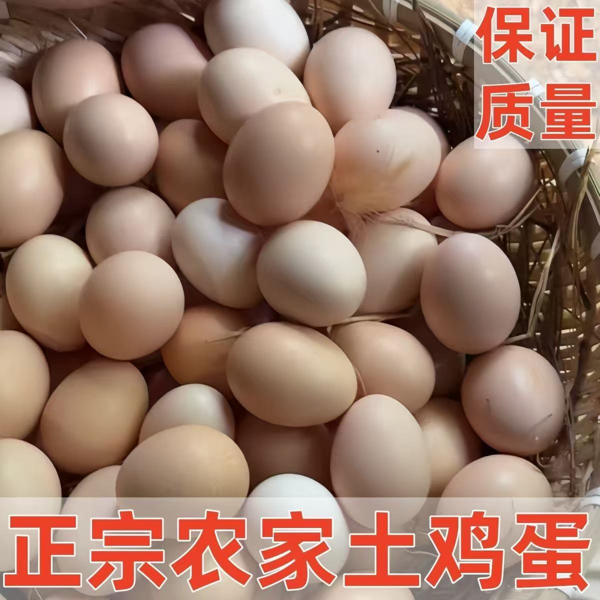 贵州本地散养土鸡蛋