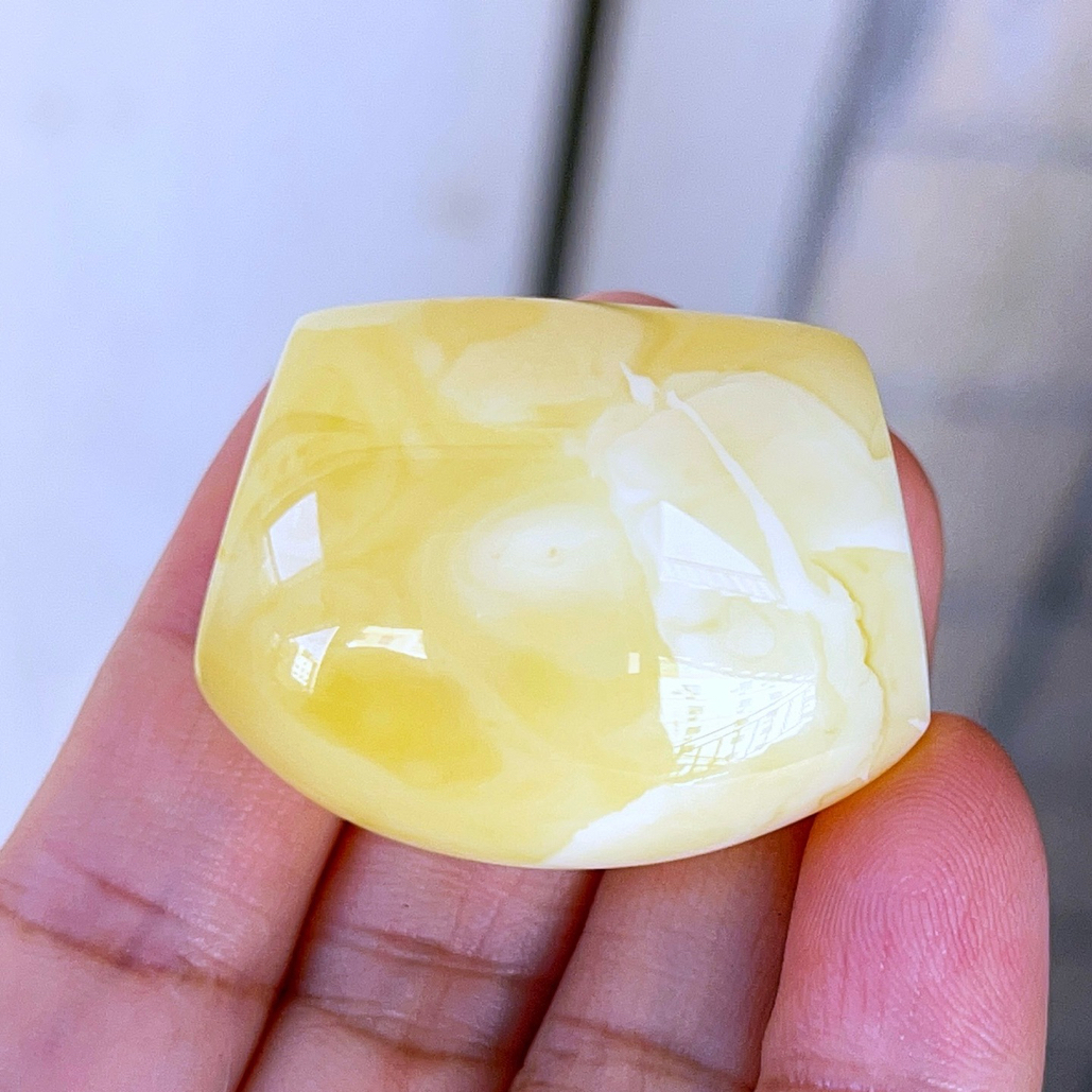 焦皮料白花蜡马蹄珠