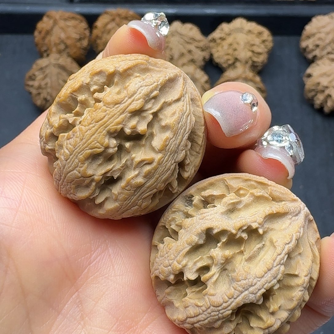 桃木突突突突突突突