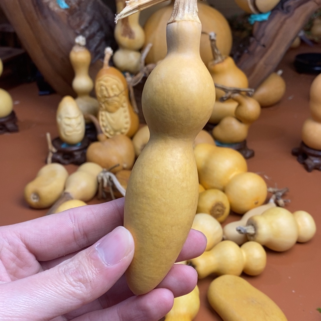 M***M教练咯教练咯哦哦哦咯