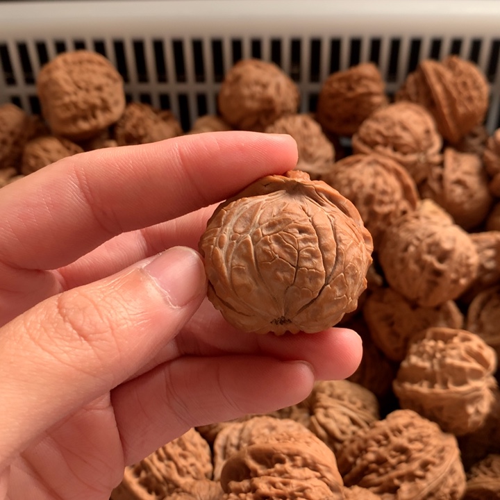 齐***齐文玩核桃吊坠宫灯蛇