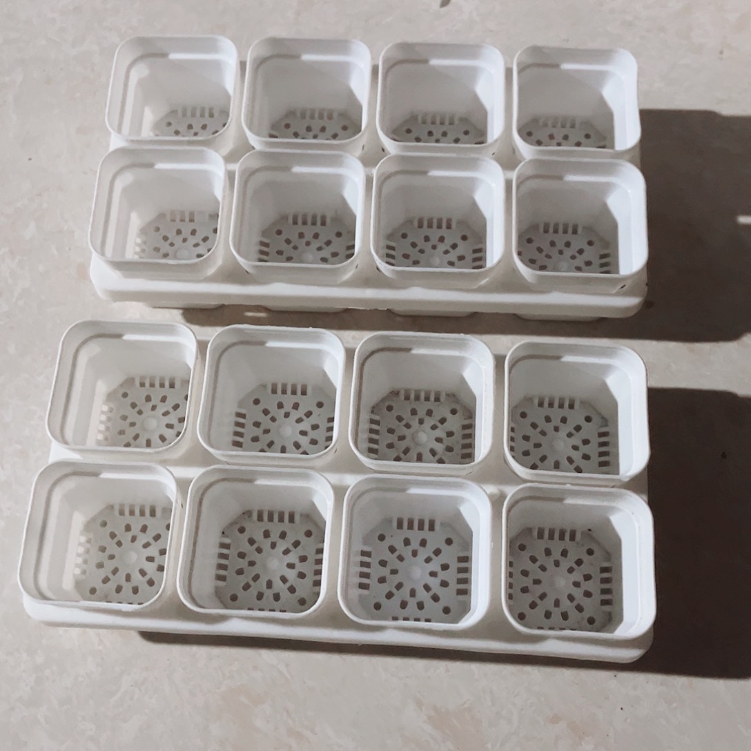 塑料福利款5.3白方盆16个带2拖架