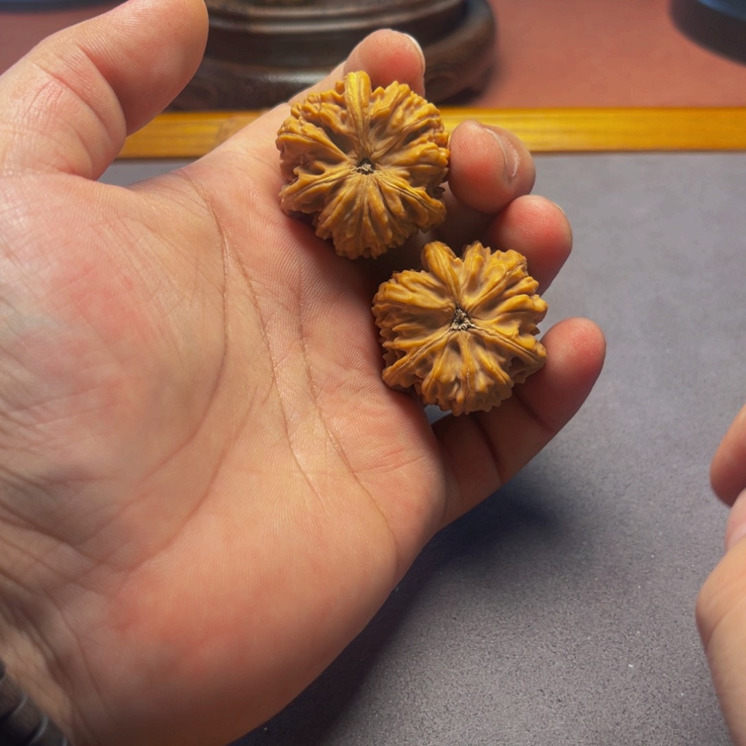 文玩核桃把件御龙粗筋