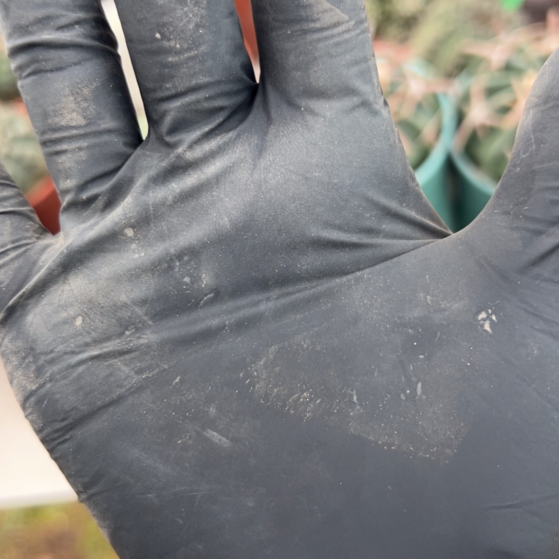 *****78 零零落落 零零落落