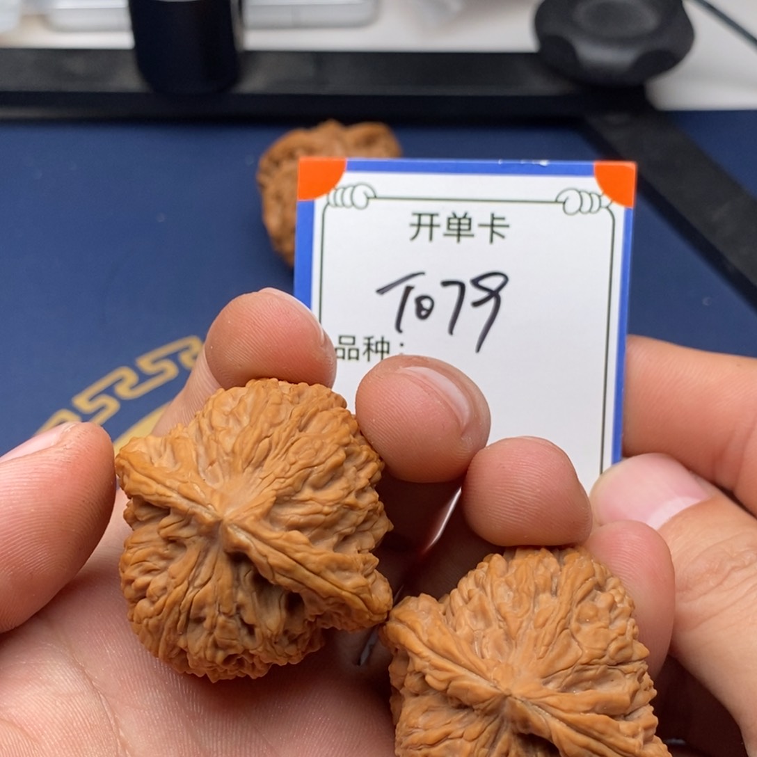 文玩核桃把件白狮子079