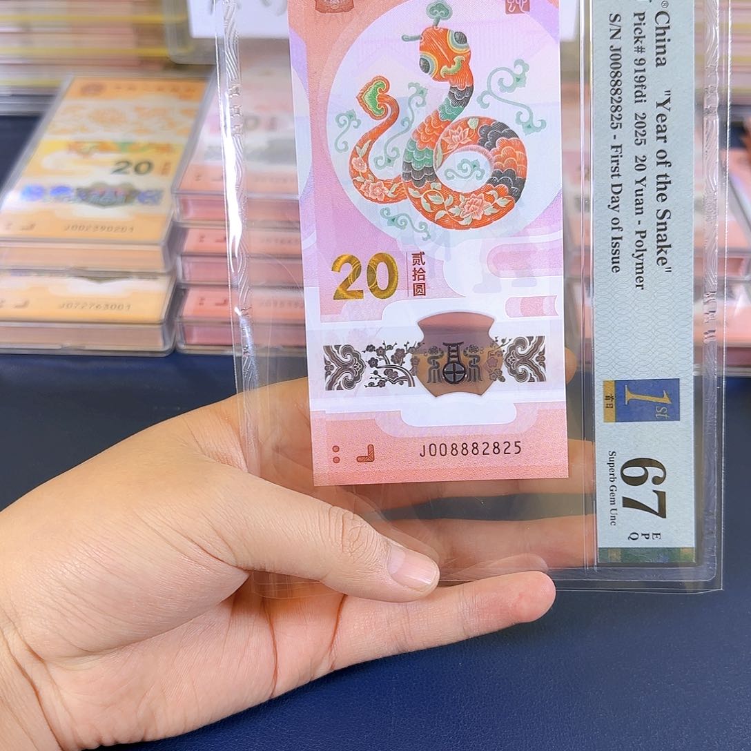 塑料蛇钞008882825单张