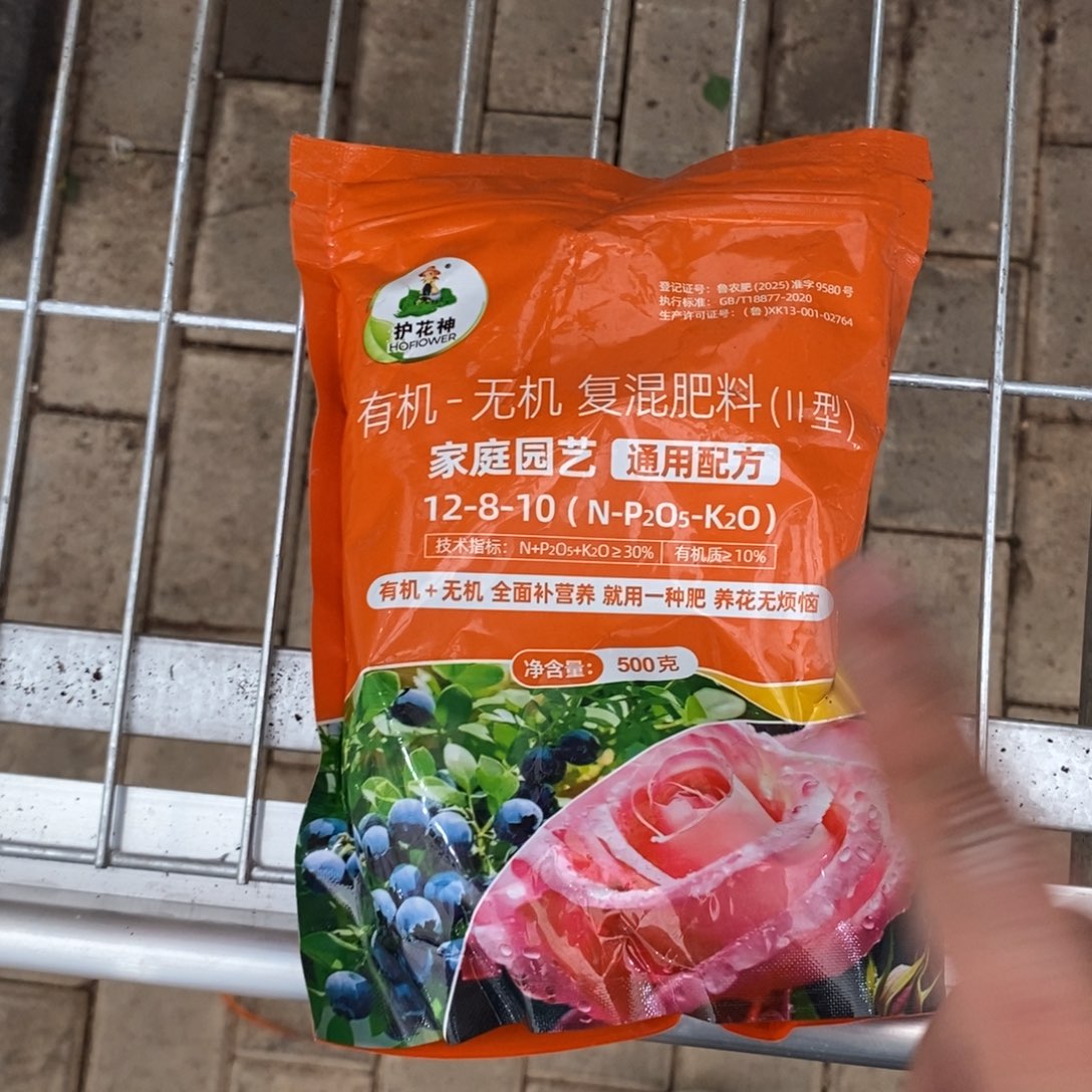 大部分开放少量花苞护花神费