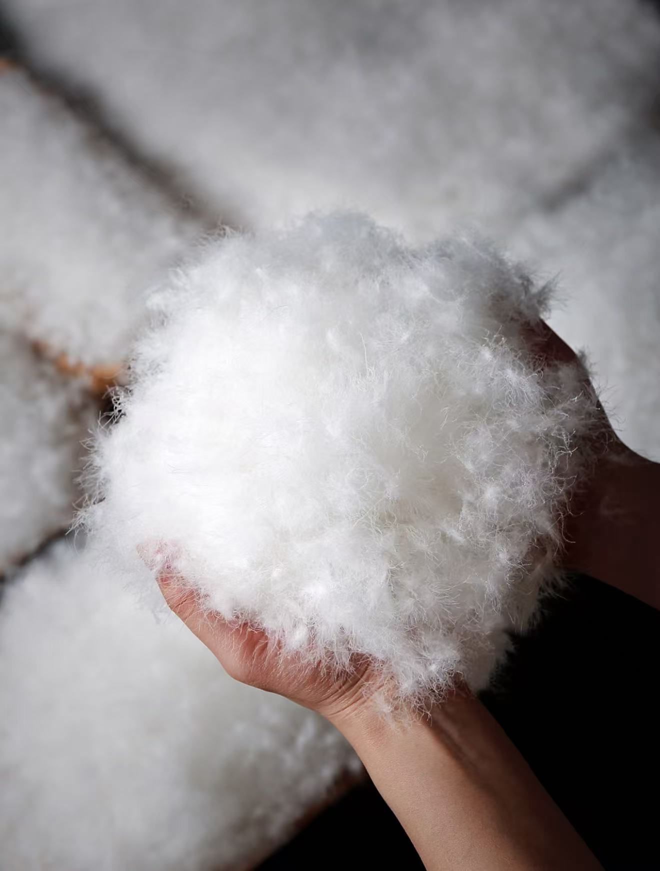 CHEN HENG鹅绒服（KJ）067