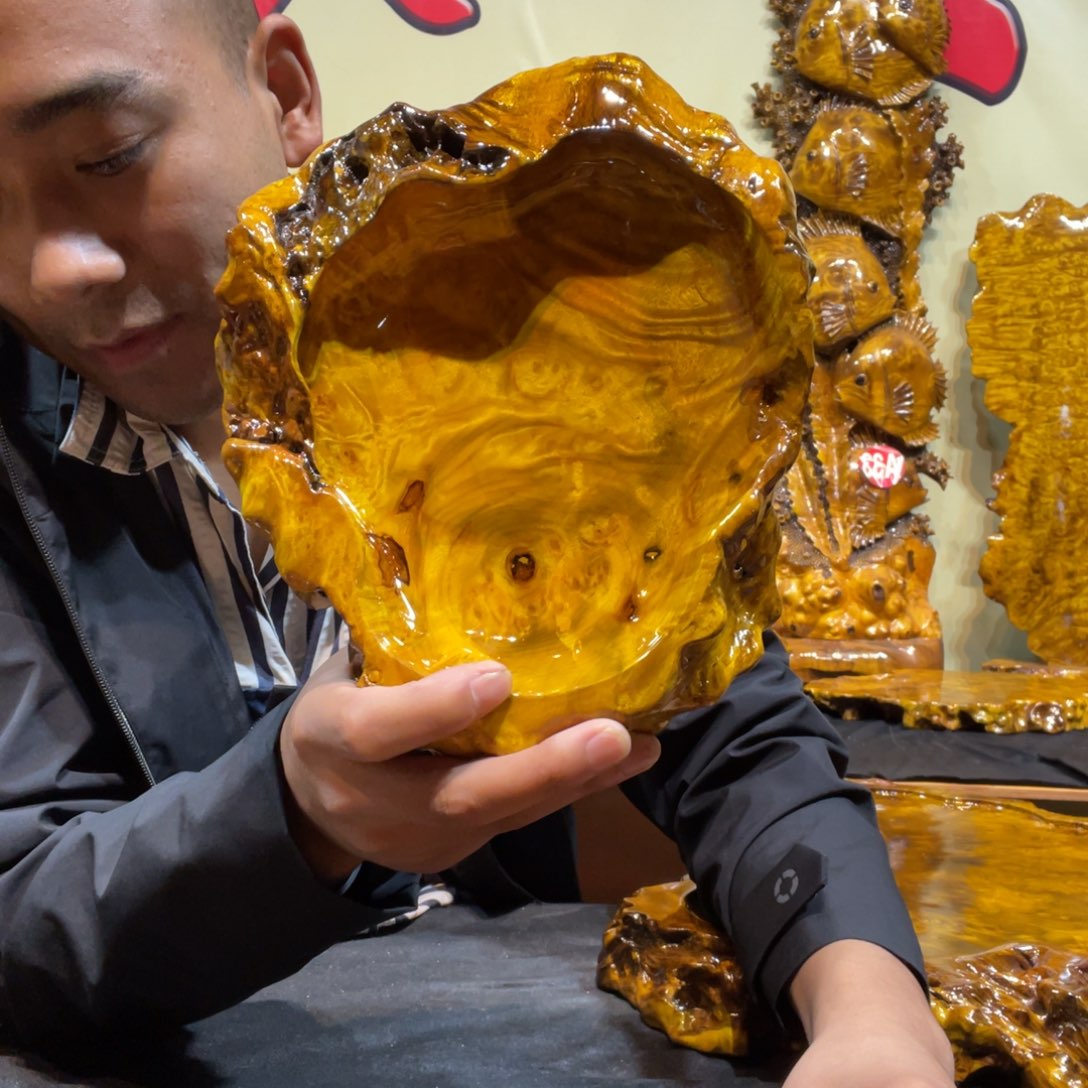 缅甸黄金樟树瘤工