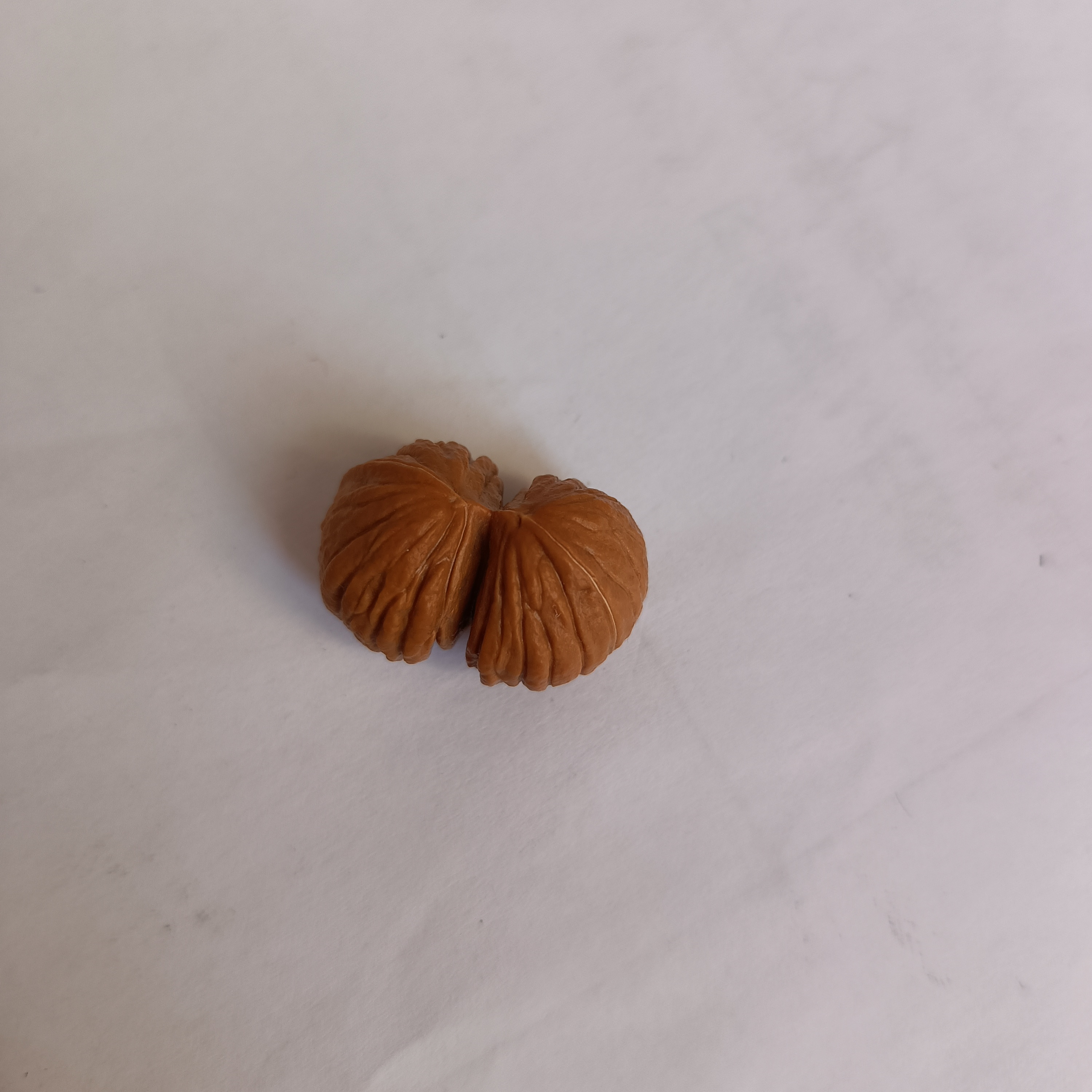 原皮原色原生态的文玩核桃万里挑一的双胞胎