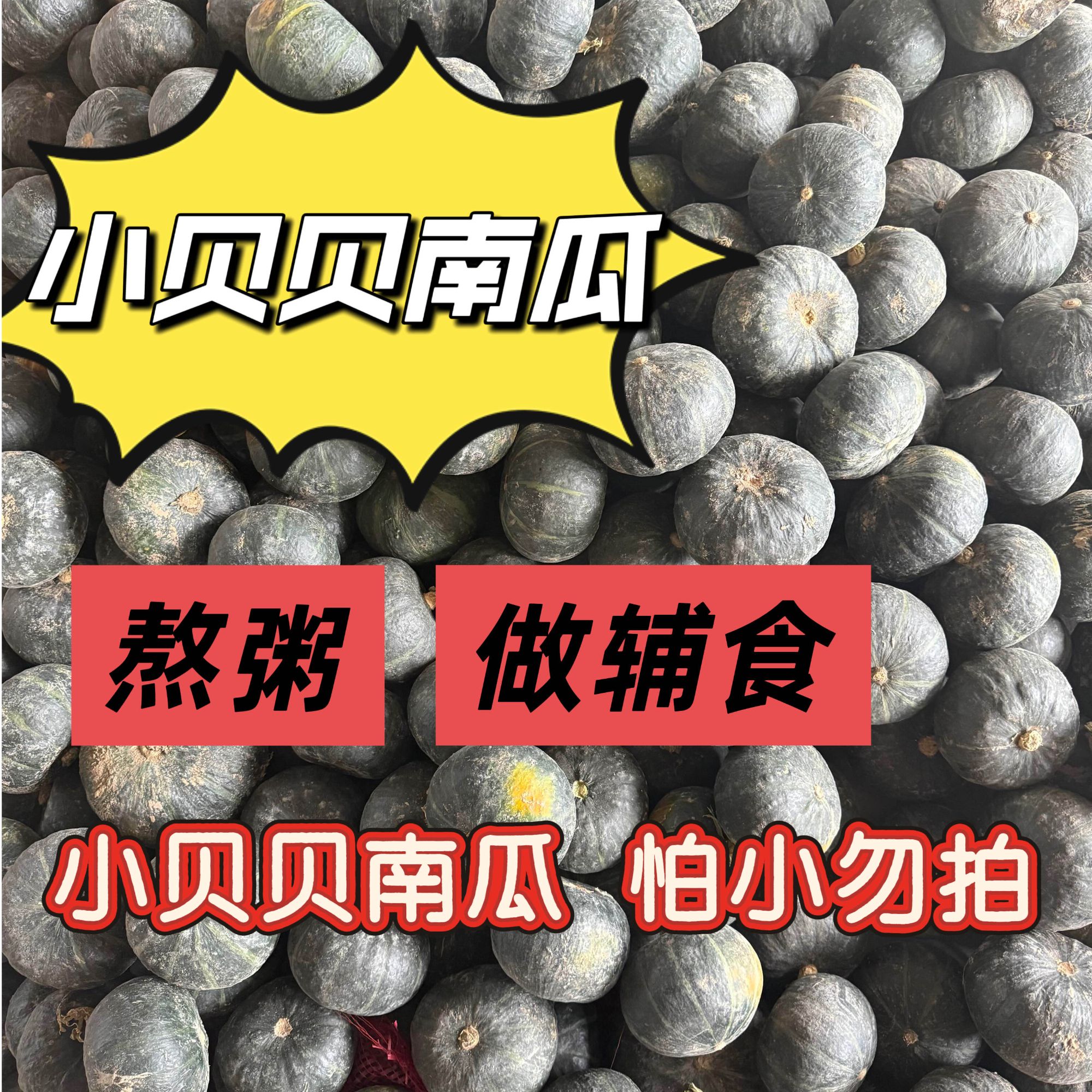【陕北晓儿】小贝贝南瓜5斤装 熬粥  做辅食 (怕小勿拍）