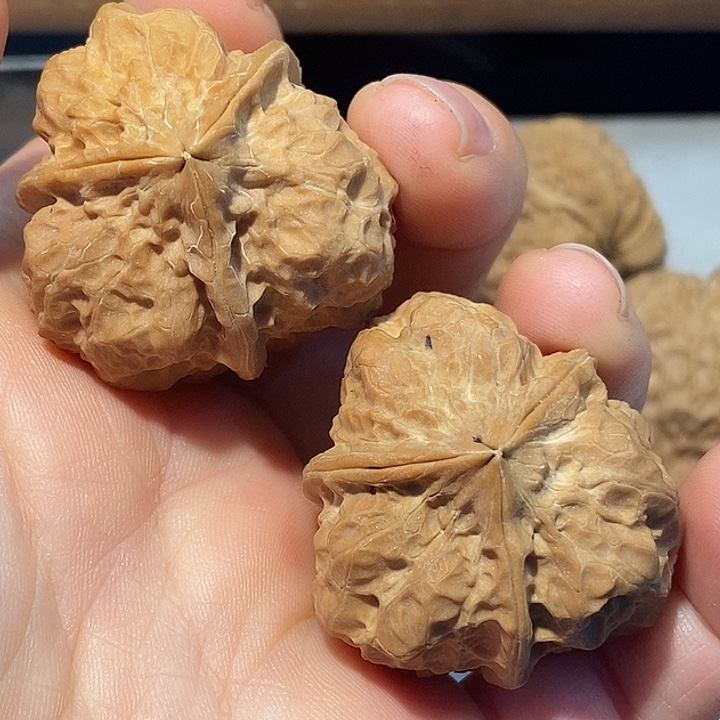 小***麦把件文玩核桃676777777777