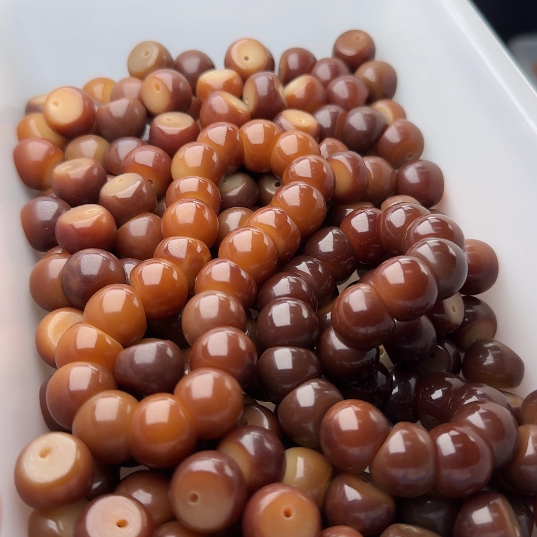 菩提根/象牙果吊坠50 颗菲料追光 14.5 厚切  蒜瓣