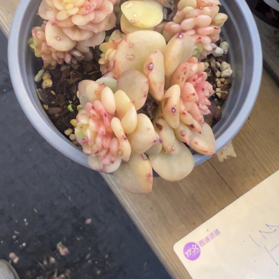 噼***?福利多多的话可以来试