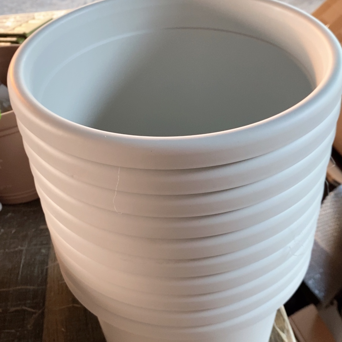 树脂10个25口奶白带托