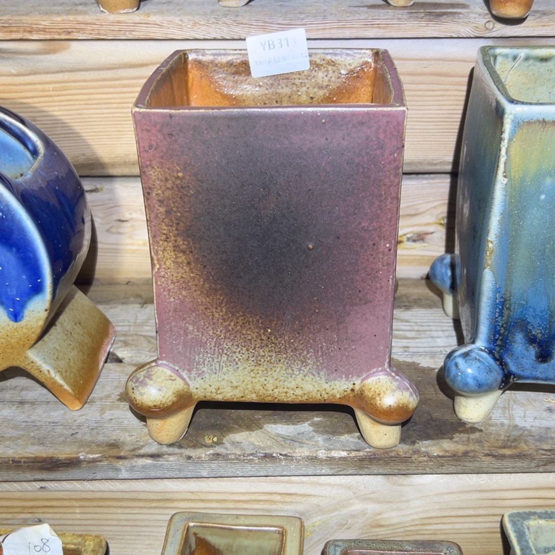 遇***31987植物花盆YB311