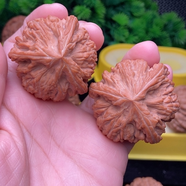 南***骁玉龙粗筋42全品111111