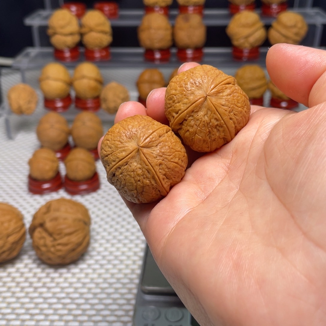 文玩核桃把件8柿饼子