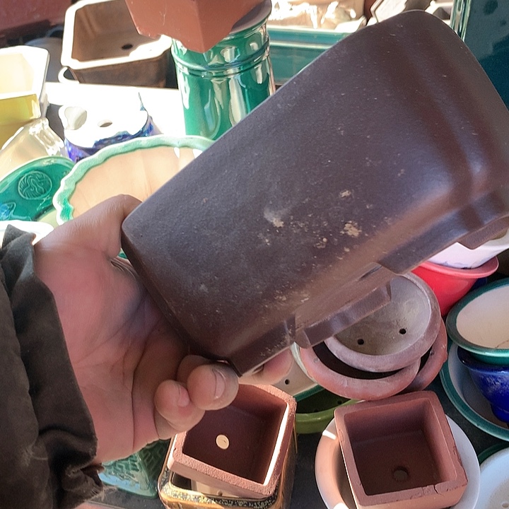 紫砂优秀青年的第一天开学