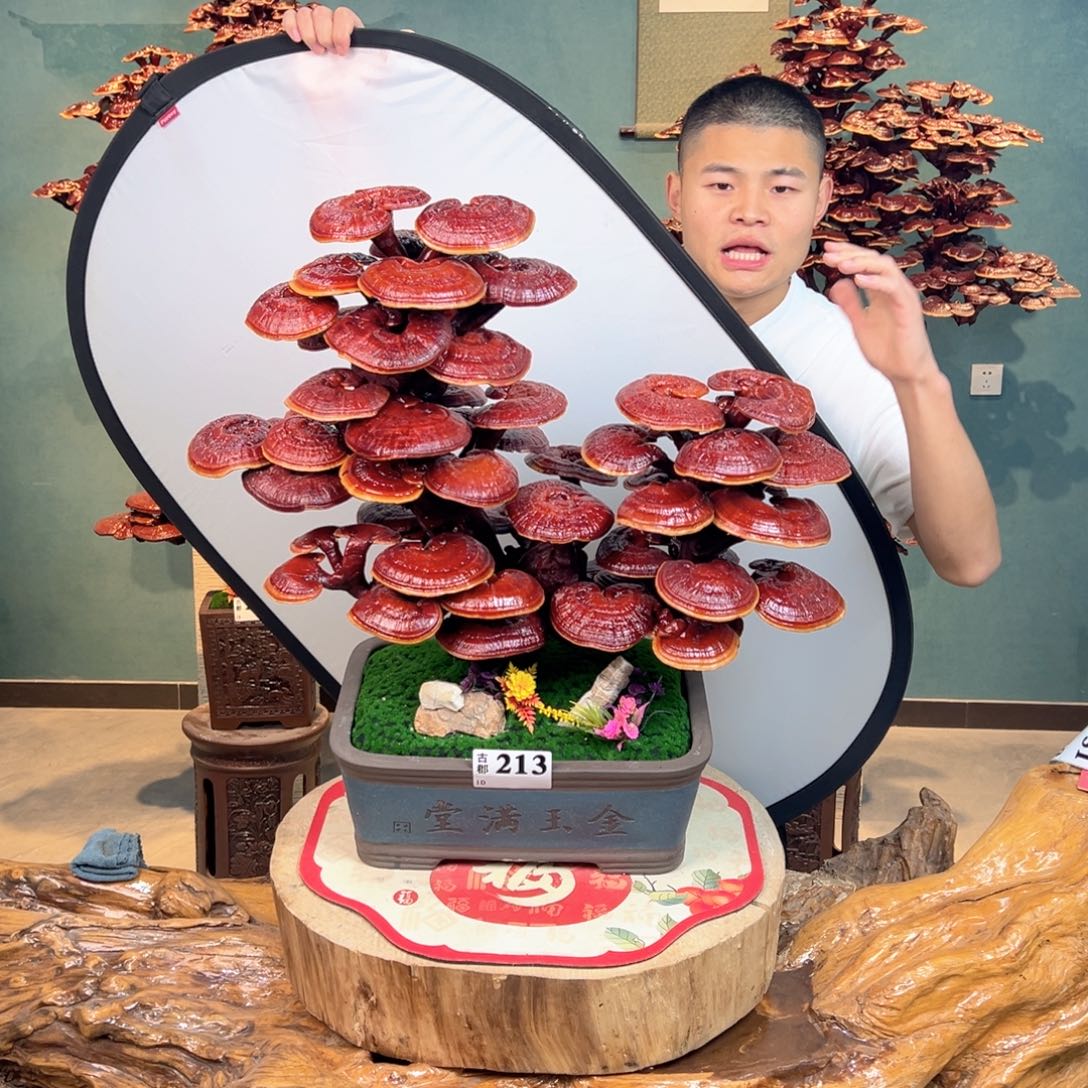 无花朵888898888888