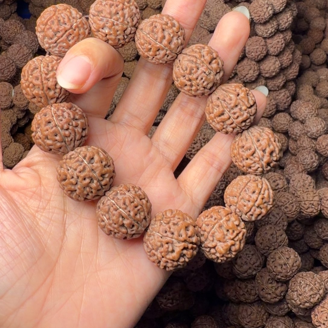 金刚菩提手串9瓣卡20尺，25号