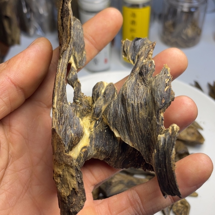 沉香沉香枕沉水虎斑壳23克