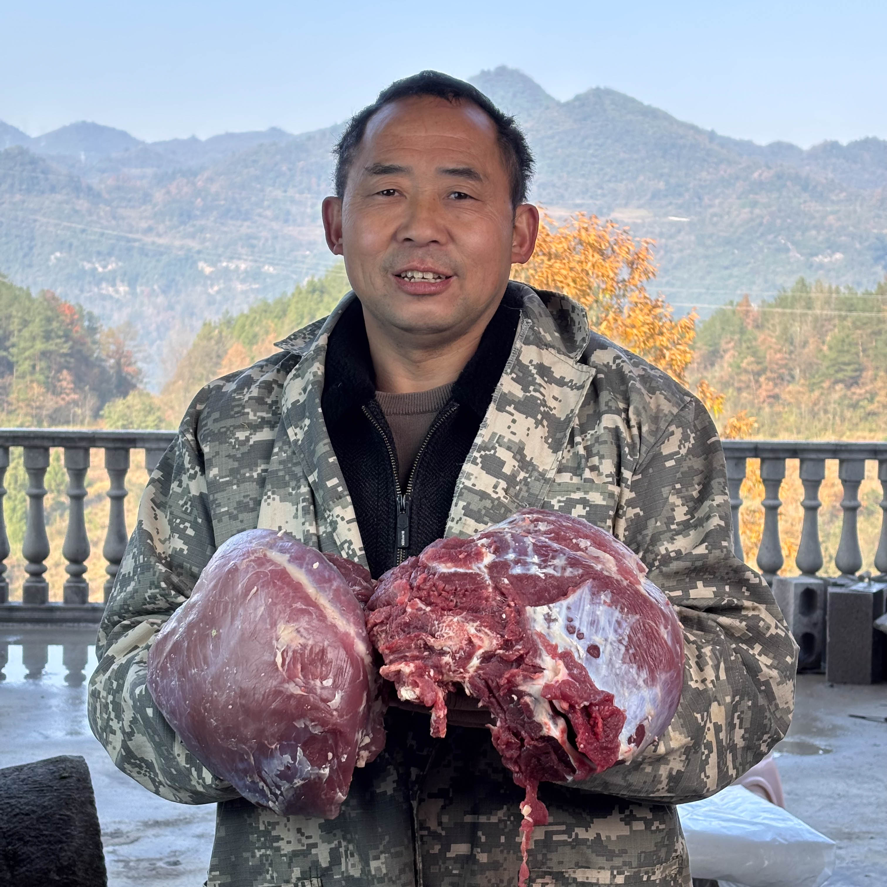 （黄牛牛腿肉）重庆高山农村放山黄牛 牛腿肉  顺丰包邮
