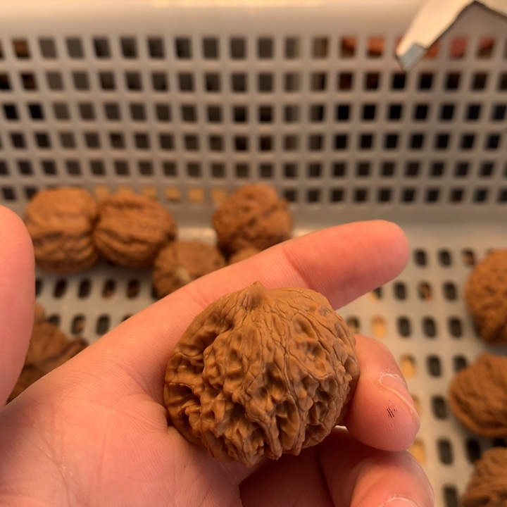 大***ⁱ把件文玩核桃宫灯