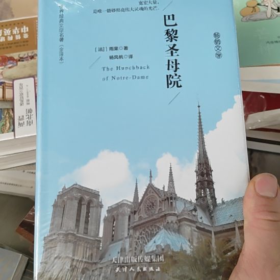 巴黎圣母院精装全本