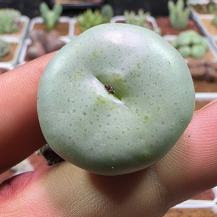 哈哈哈哈哈哈哈540