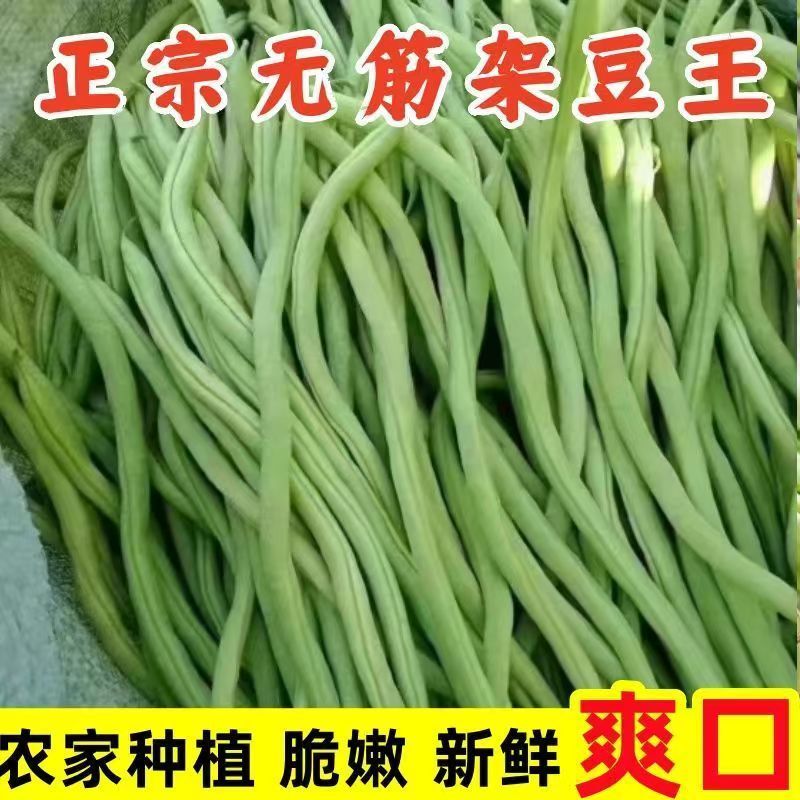 【云南无筋豆】架豆王龙豆无丝豆角四季豆芸豆当季新鲜农家蔬菜整箱