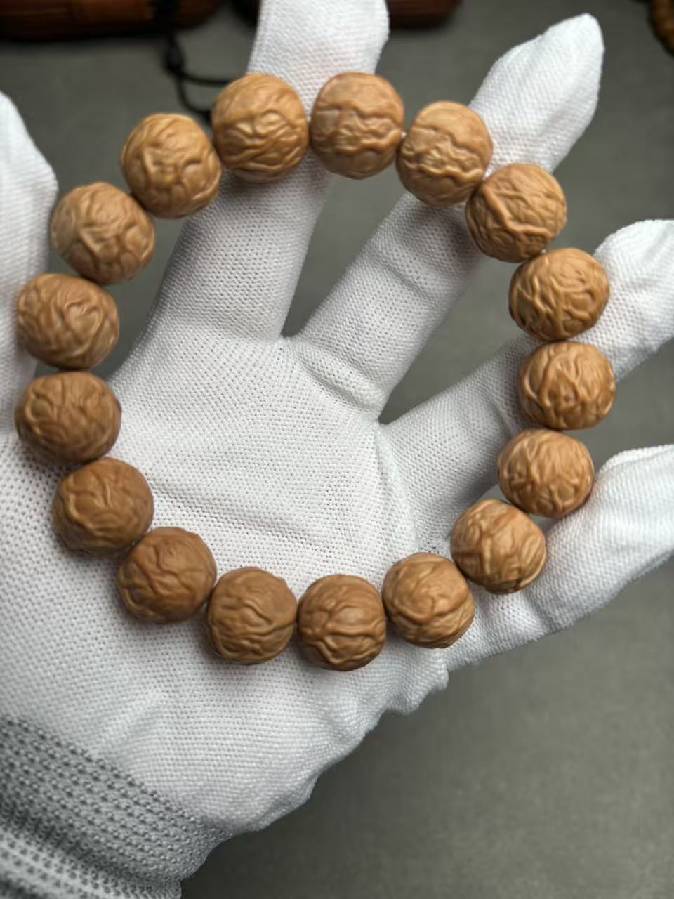龍阳-毒液猴头核桃（龙炎料）