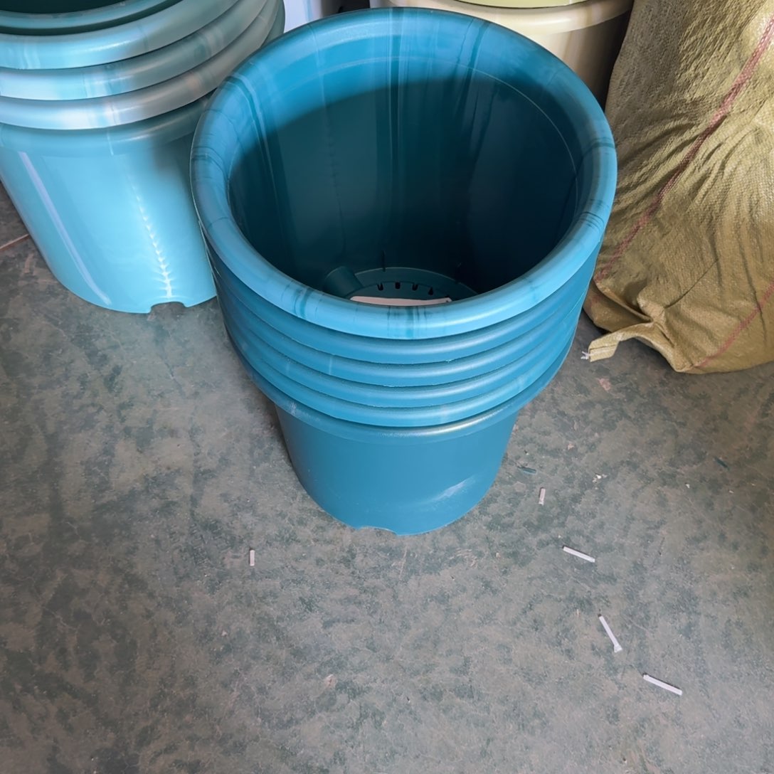 编号0141编号0141