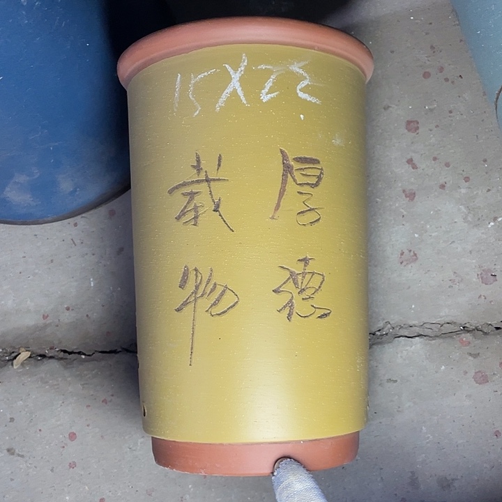 红陶紫砂紫砂紫砂