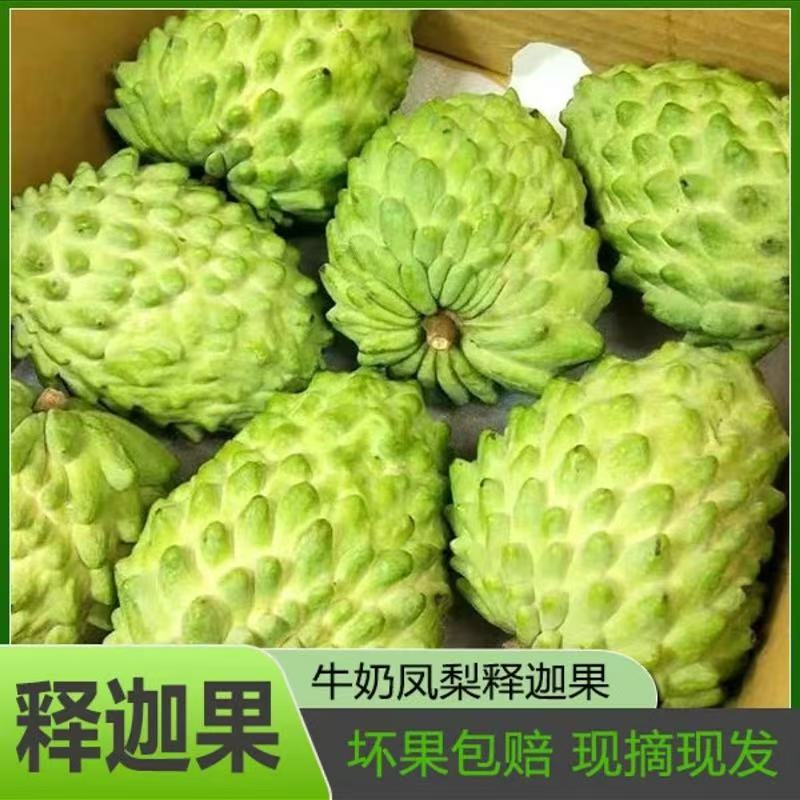 【顺丰包邮】云南现摘牛奶凤梨释迦果番荔枝新鲜应季水果