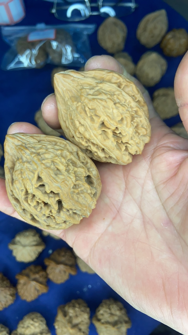 大孤石麻核桃边42